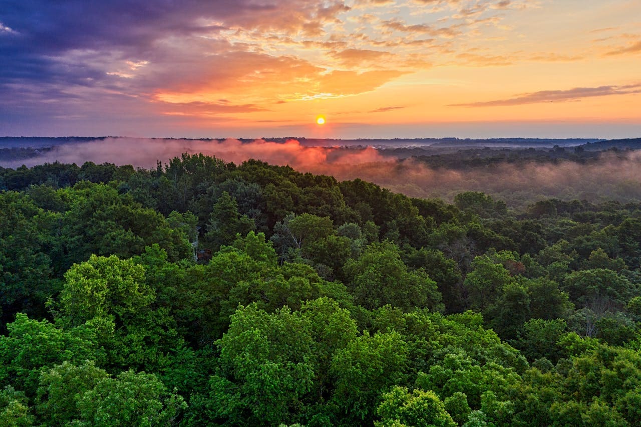 Brazil: A Giant of Natural Beauty - belezasnaturaisoficial.com.br