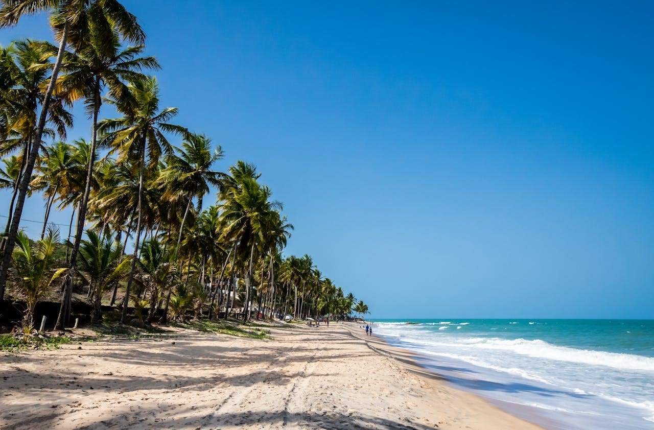 Paraíba- Natural Contrasts Between Coast and the Backlands